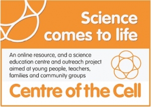 Centre of the Cell