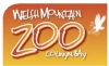 Welsh Mountain Zoo