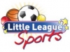 Little League Sports